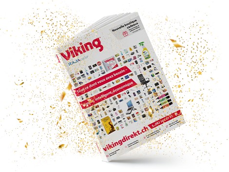 Viking lifestyle image