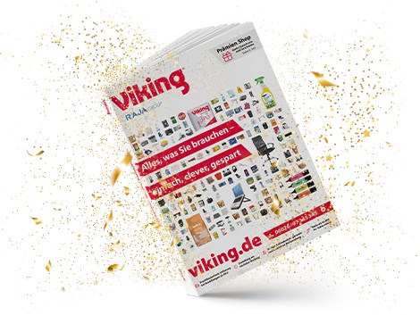 Viking lifestyle image