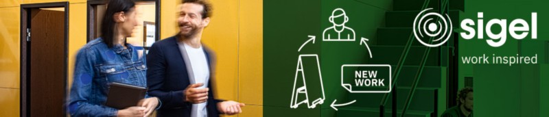 Viking Campaign Header