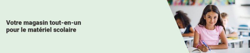 Viking Campaign Header