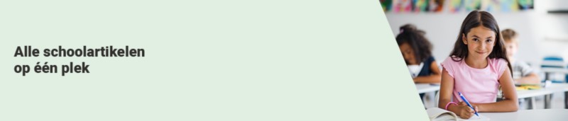 Viking Campaign Header