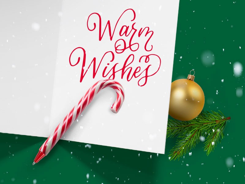 Viking lifestyle image