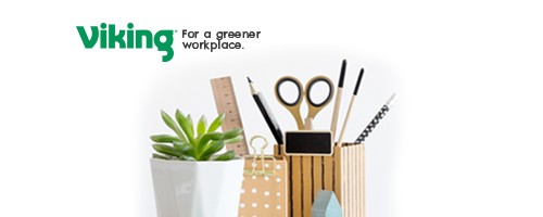 Viking lifestyle image