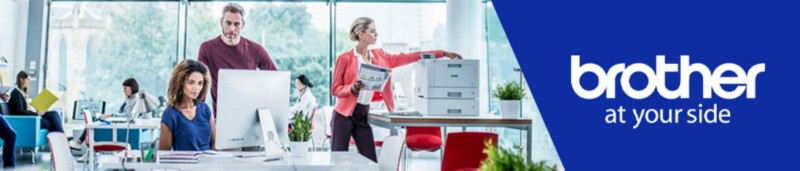 Viking Campaign Header