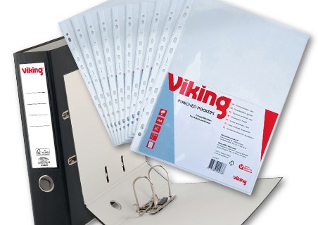Viking banner image