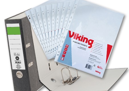 Viking banner image