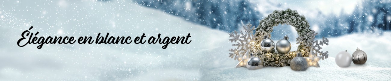 Viking Full Image Banner