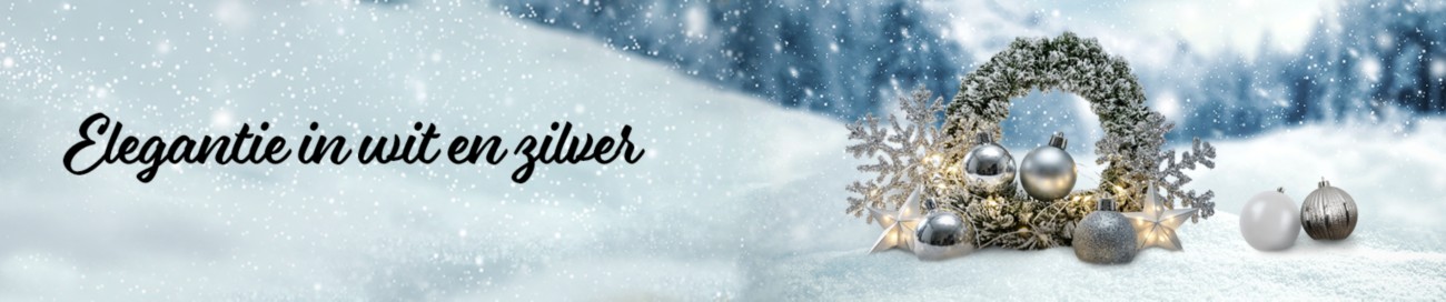 Viking Full Image Banner