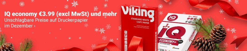 Viking Full Image Banner