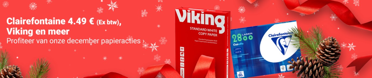 Viking Full Image Banner