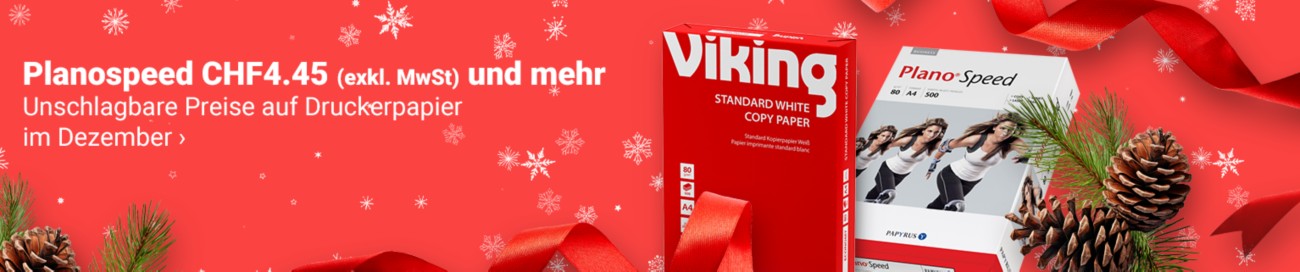 Viking Full Image Banner