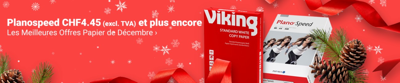 Viking Full Image Banner