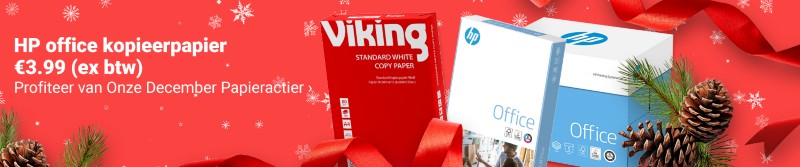 Viking Full Image Banner