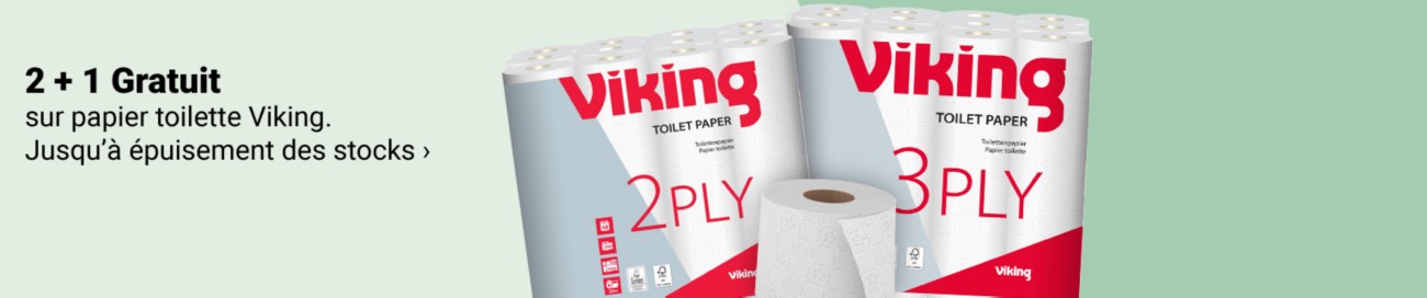 Viking Full Image Banner