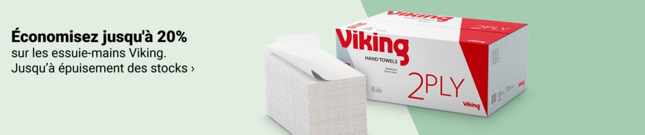 Viking Full Image Banner