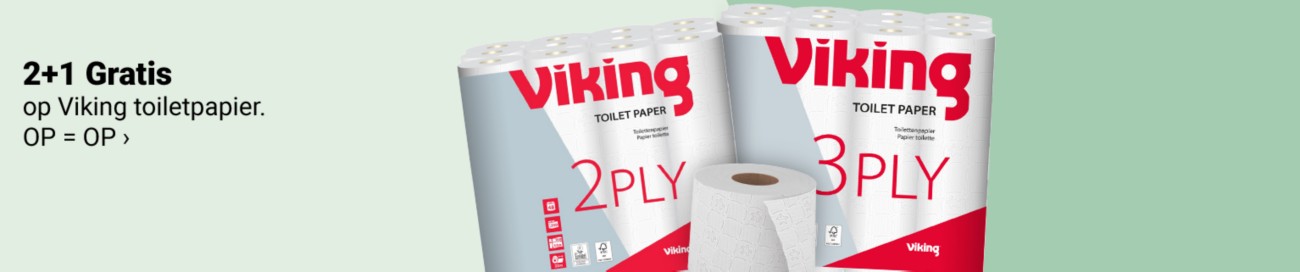 Viking Full Image Banner
