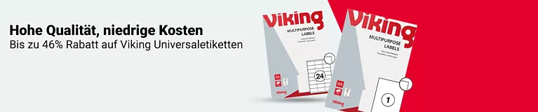 Viking Full Image Banner