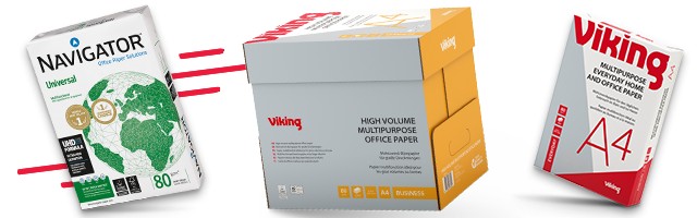 Viking Campaign Header