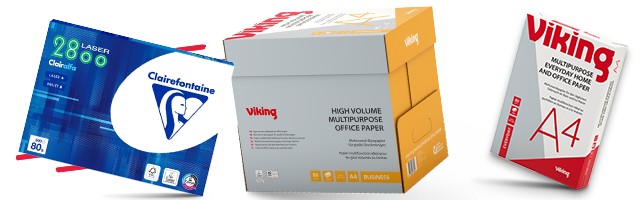 Viking Campaign Header