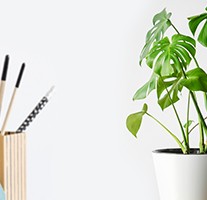 Viking lifestyle image