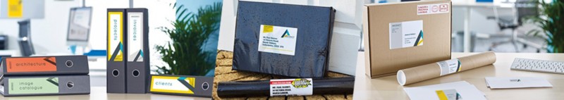 Viking Campaign Header