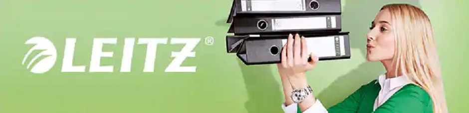 Viking Campaign Header