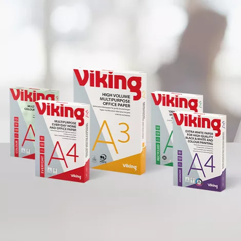 Viking lifestyle image