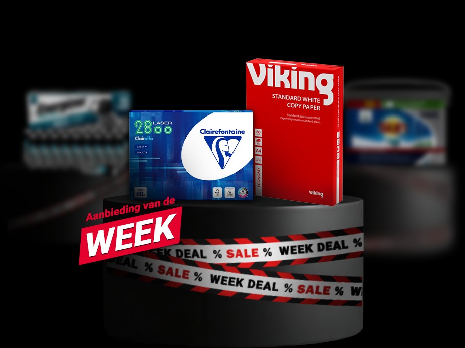 Viking lifestyle image
