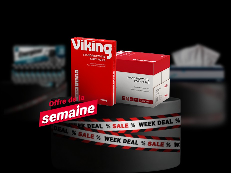 Viking lifestyle image