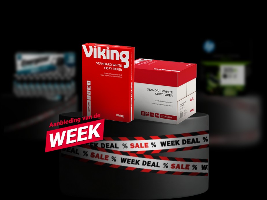 Viking lifestyle image