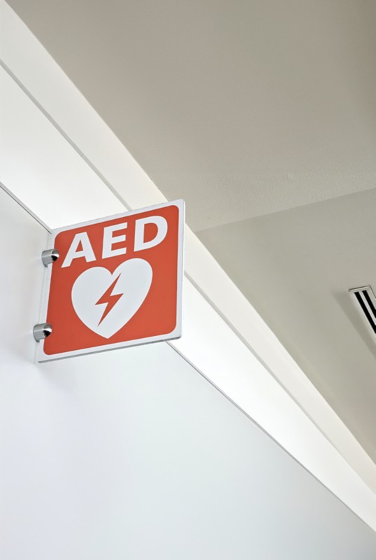 Viking lifestyle image