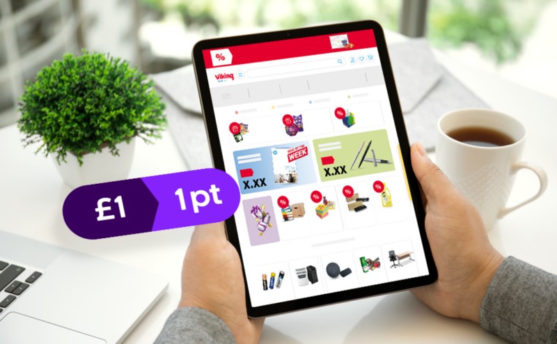 Viking lifestyle image