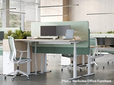 Viking lifestyle image