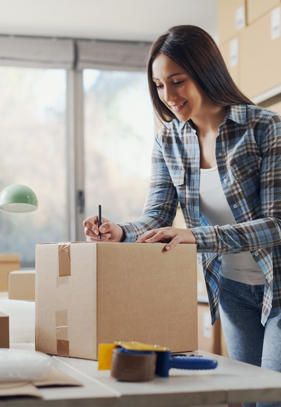 Viking lifestyle image