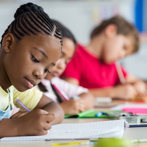 Viking lifestyle image