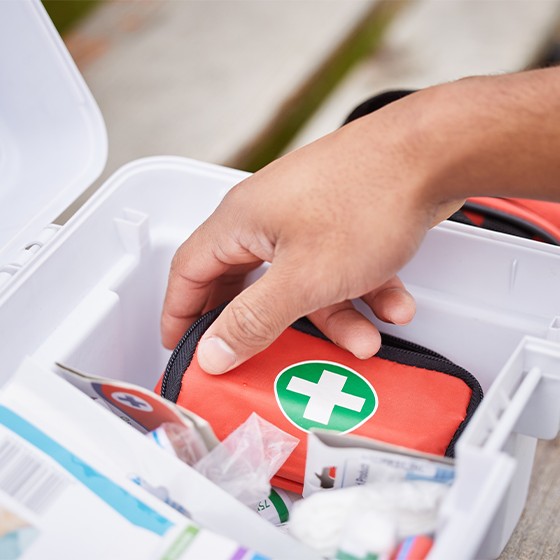 Viking lifestyle image