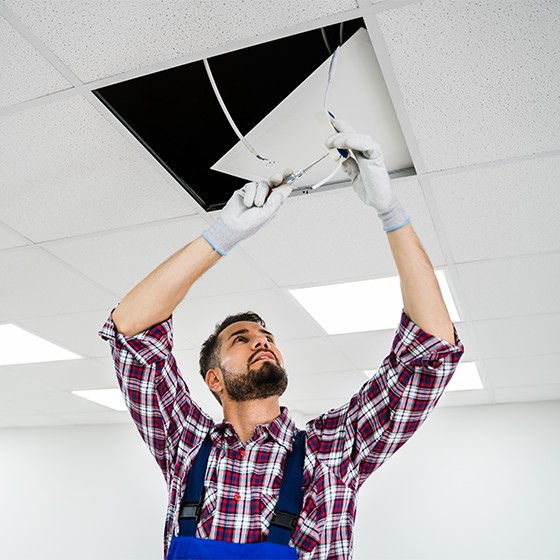 Viking lifestyle image