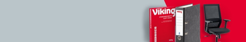 Viking Campaign Header