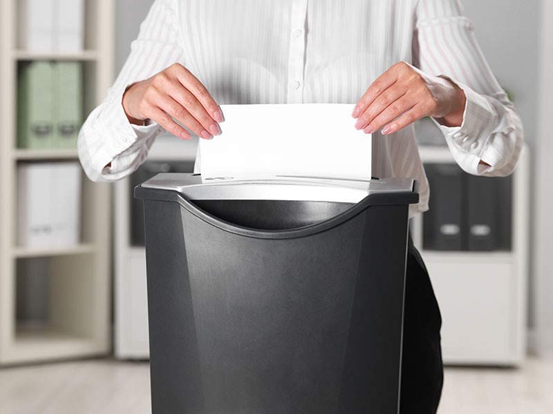 Viking lifestyle image