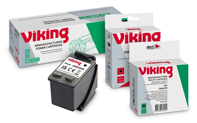 Viking Campaign Header