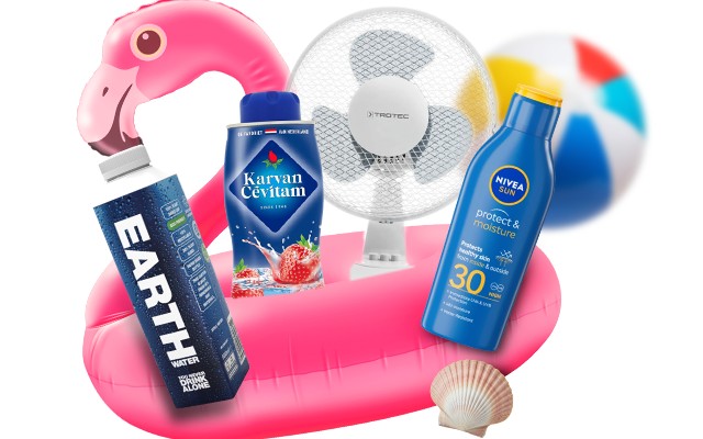 Viking Campaign Header