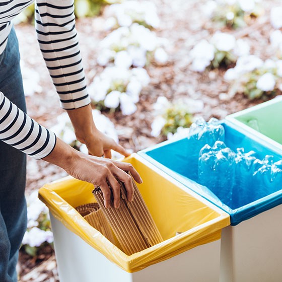 Viking lifestyle image